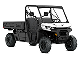2020 Can-Am Defender Pro DPS